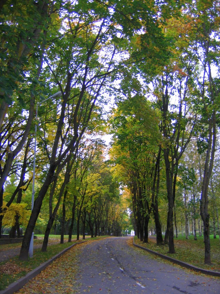 Narva. Pimeaia street