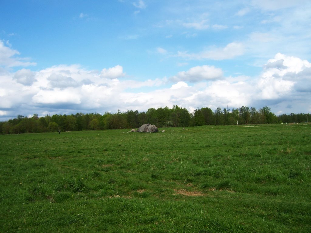 Камень  (Ивангород  21.05.2009г)