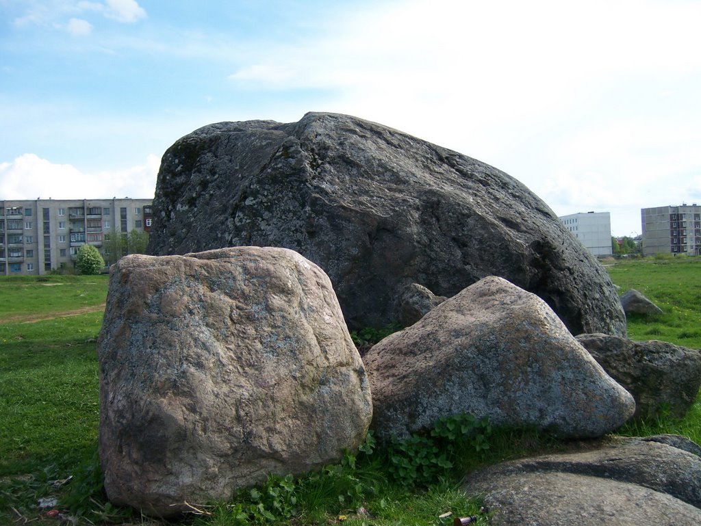 Камень  (Ивангород  21.05.2009г)