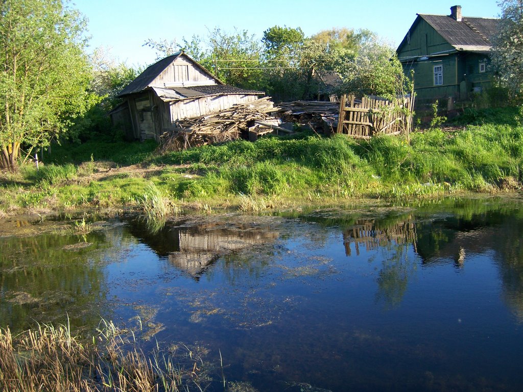 Ивангород. Пруд ( с лягушками).    25.05.2009г