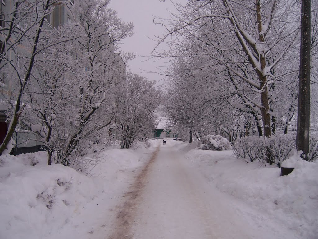 12.01.2010г Ивангород, ул. Восточная