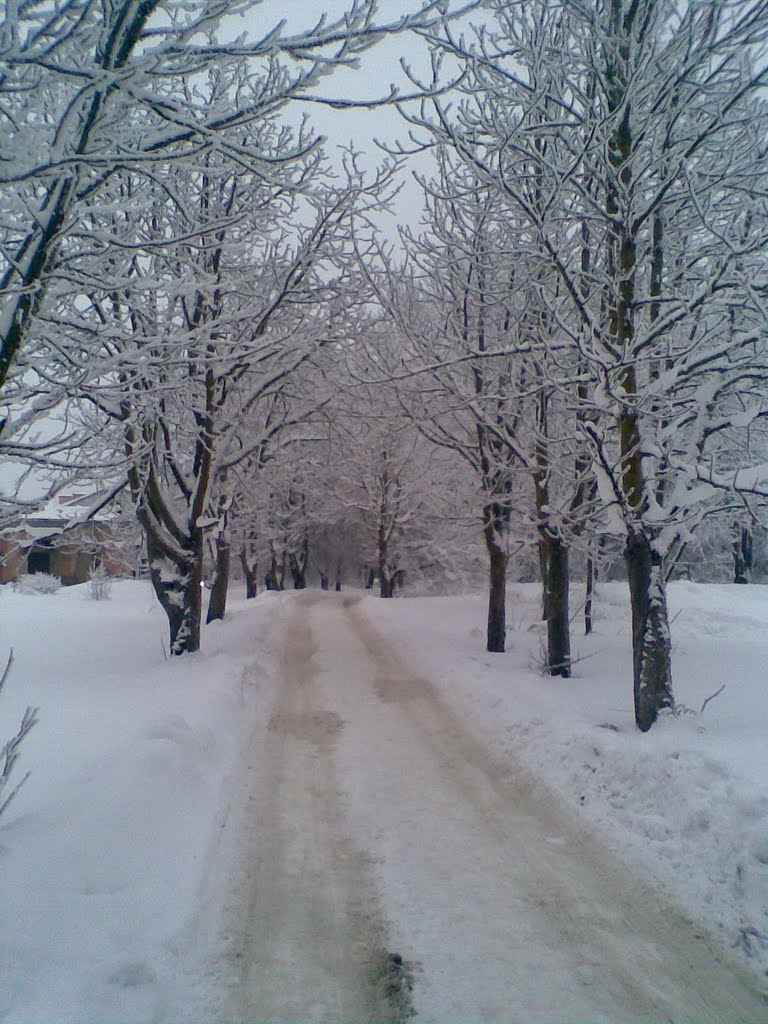 14.01.2010г Ивангород. Парусинка