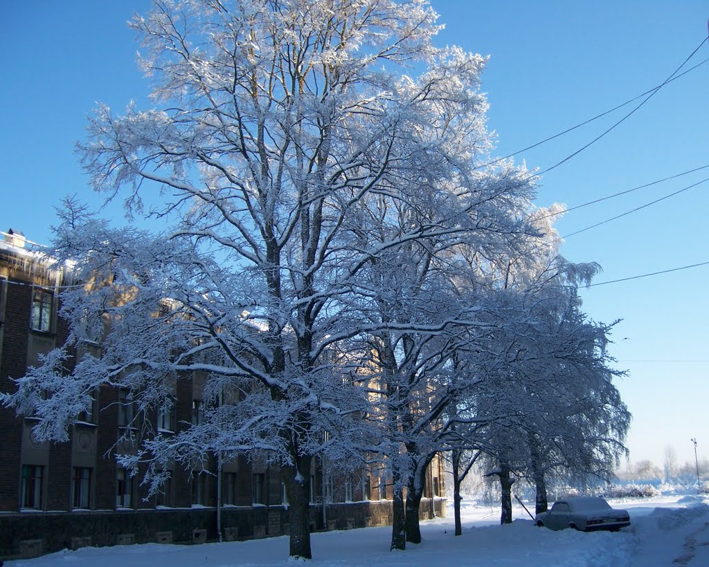 27.01.2010 Ивангород, ул. Льнопрядильная, д.23