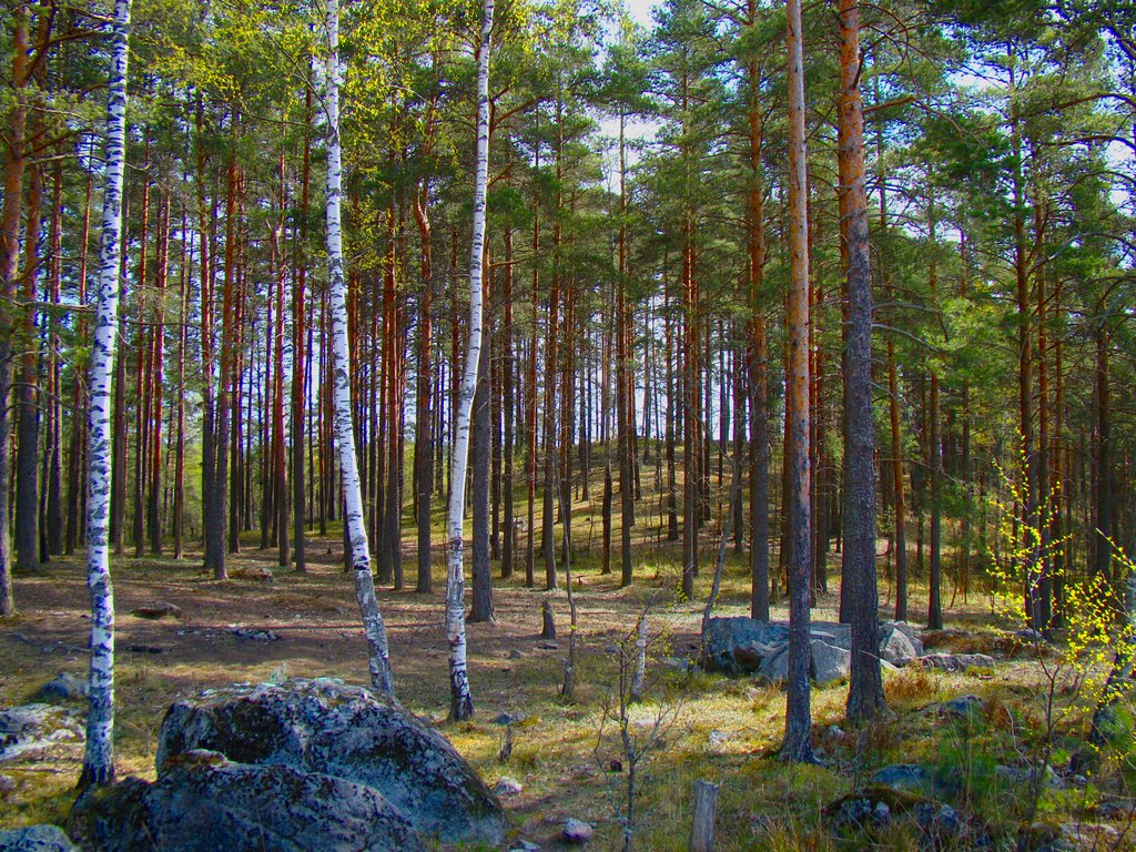 Каменногорск