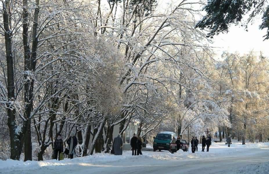 Зима в Каменногорске