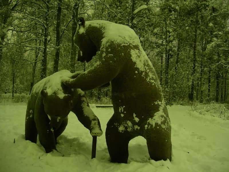 Два медведя
