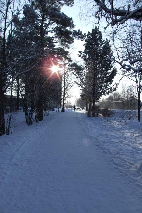 Kamennogorsk