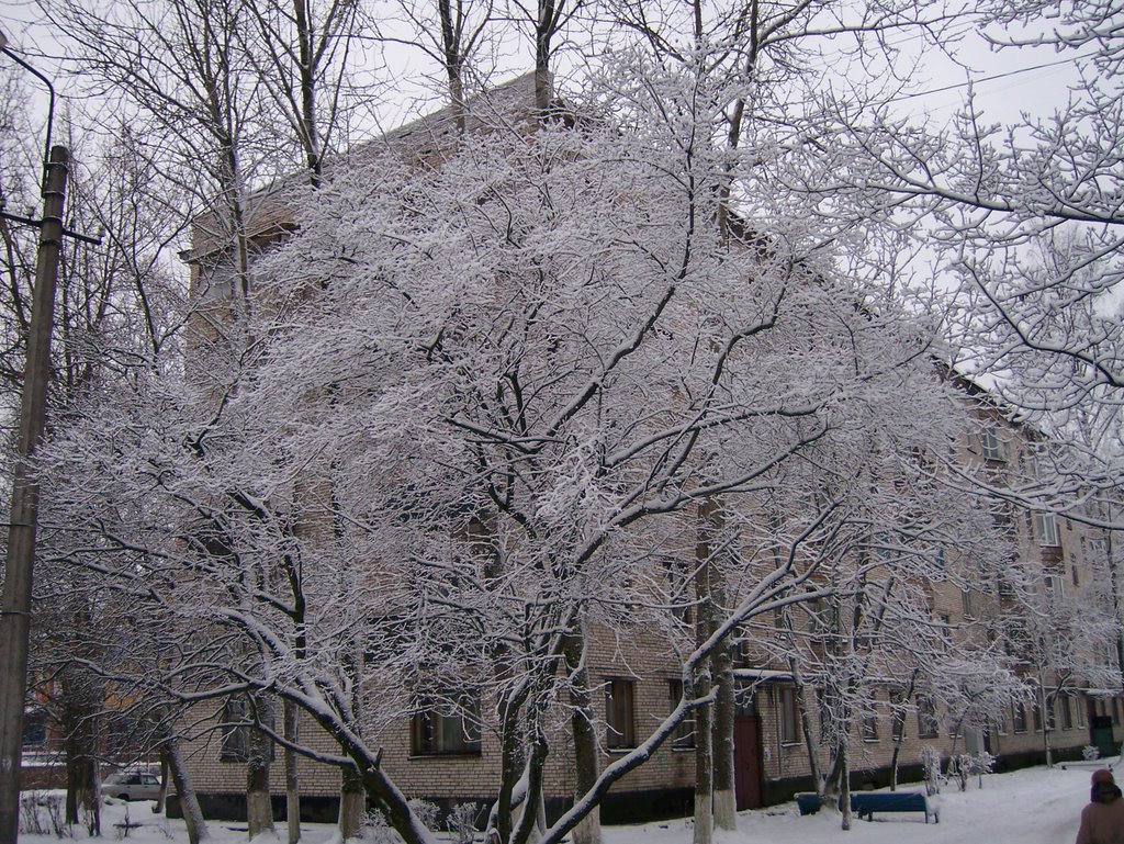Кингисепп, Октябрьская, 20  (24.12.2008)