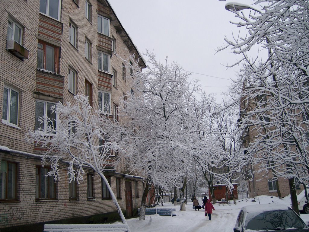 Кингисепп, ул.Октябрьская, 20  (24.12.2008)