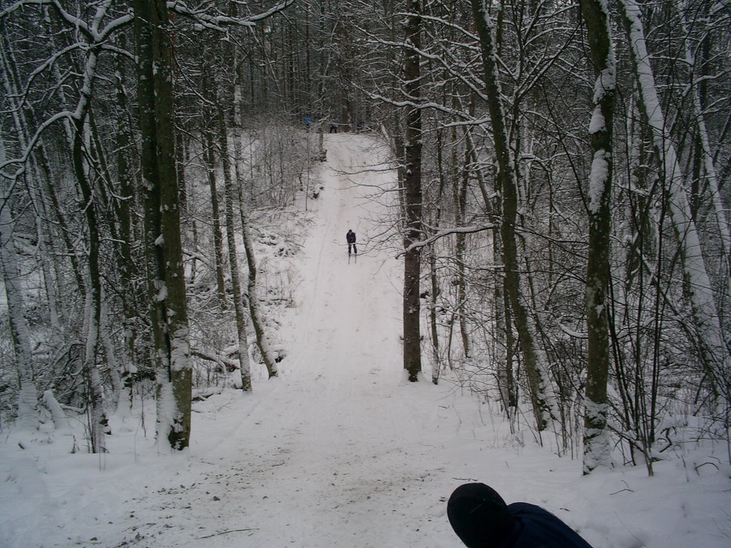 Лыжи
