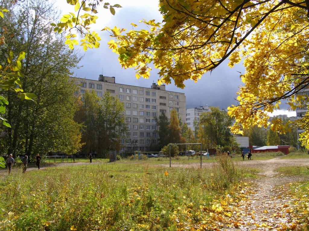 Осень в Кингисеппе