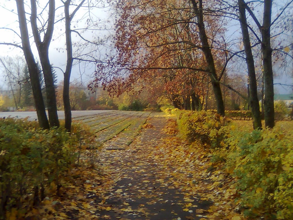 дорожка к ДК "Химиков"
