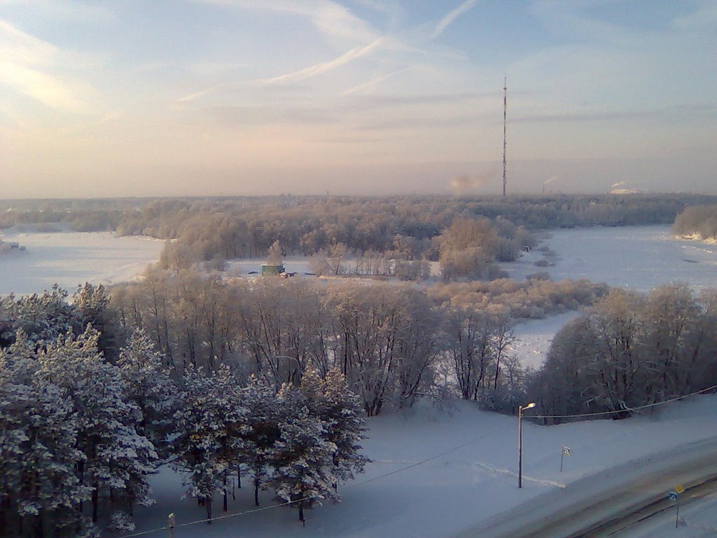 р.Луга_Январь 2010