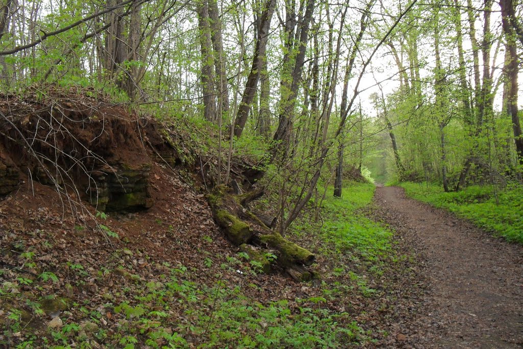 парк "Романовка"(2)