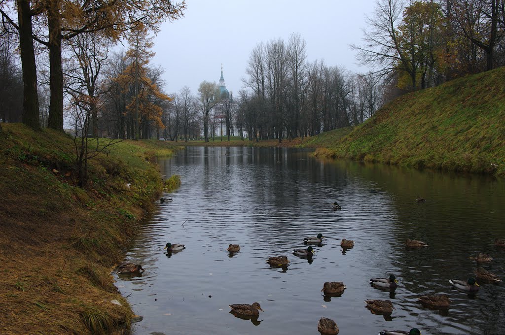 Кингисепп, пруд, Екатерининский собор