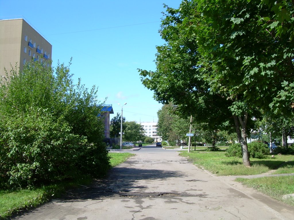 Аллея возле Апельсина))