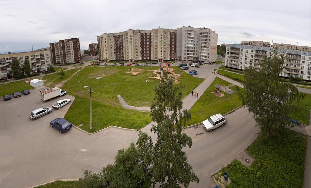 panorama of our yard