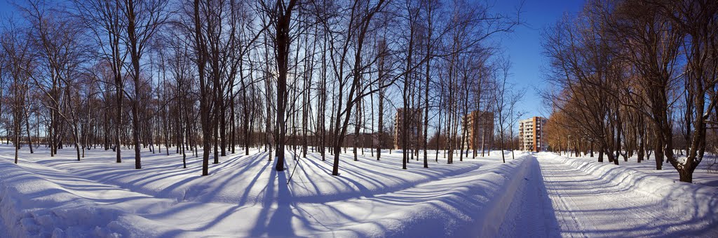Зимнее регги города Кириши. SHURENS.
