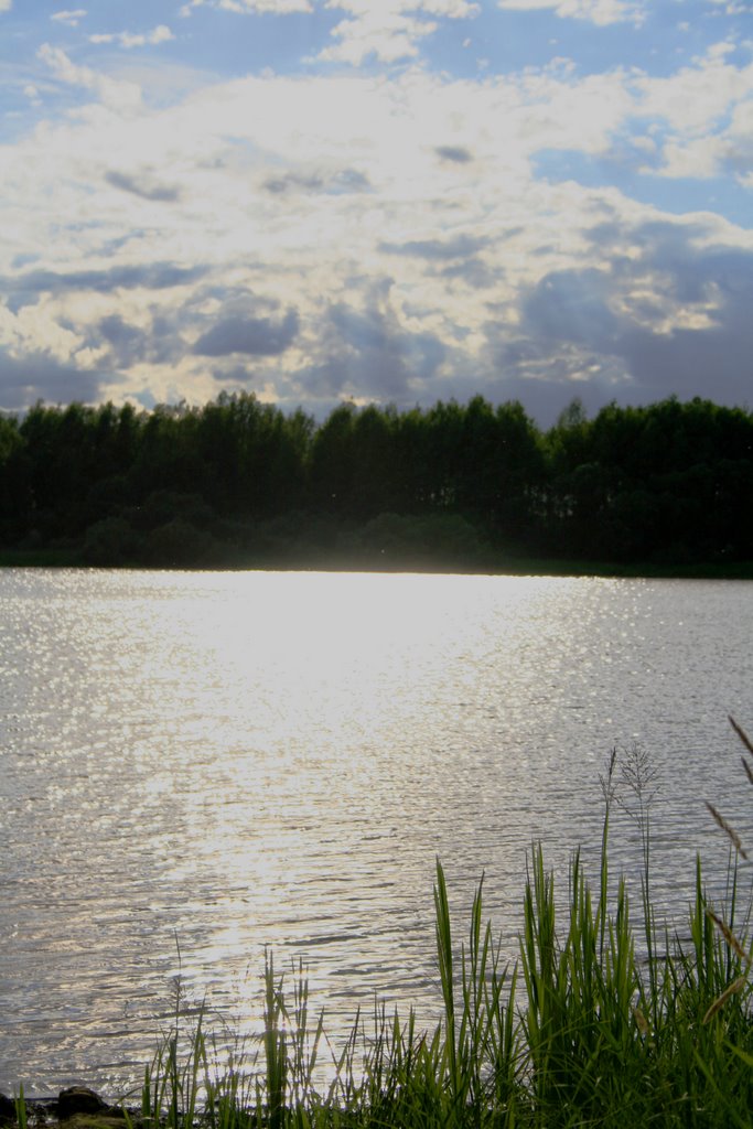 River Volhov/Солнечный блик на воде