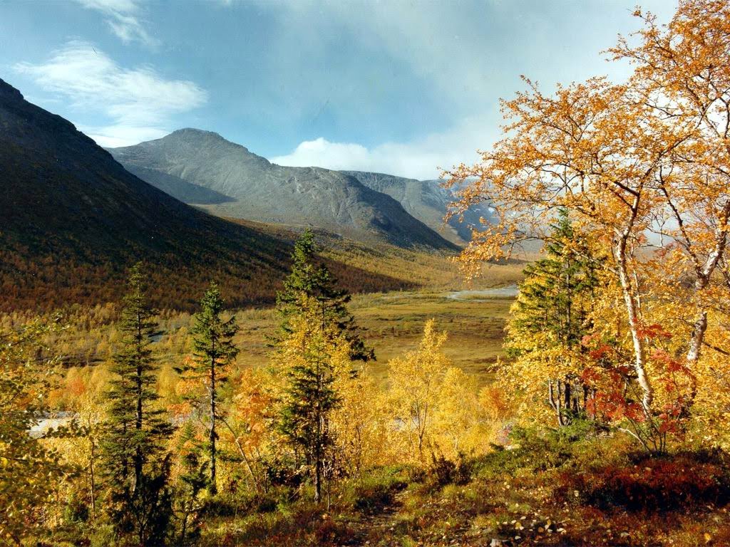 Осень