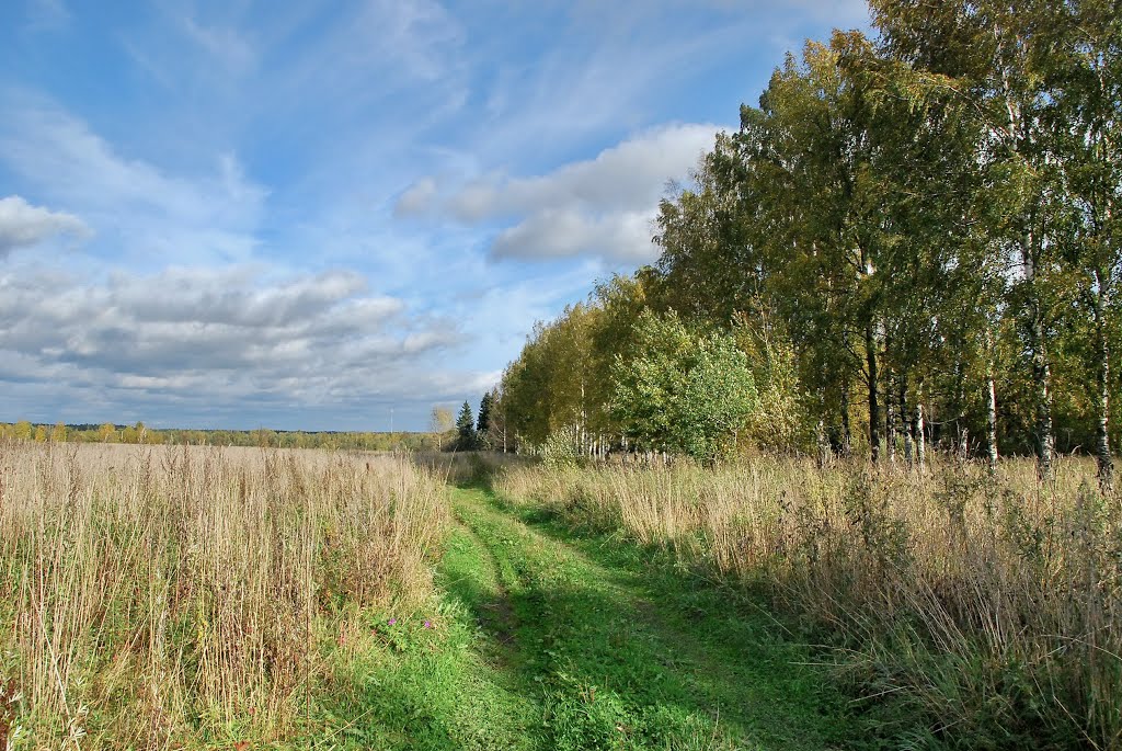Берёзовая аллея