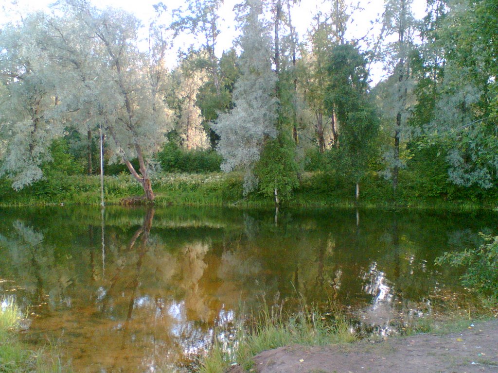 Остров, тарзанка