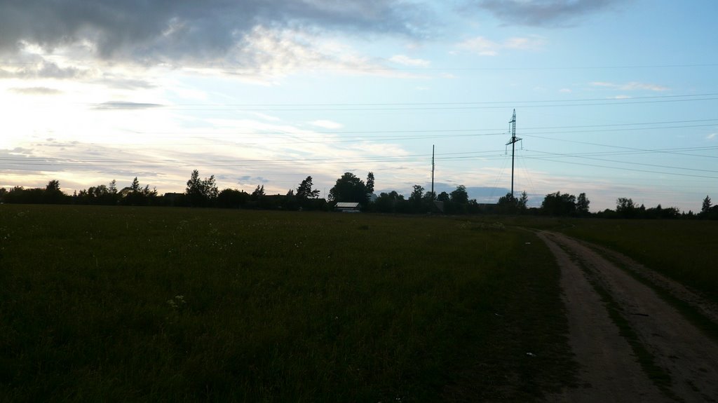на поле