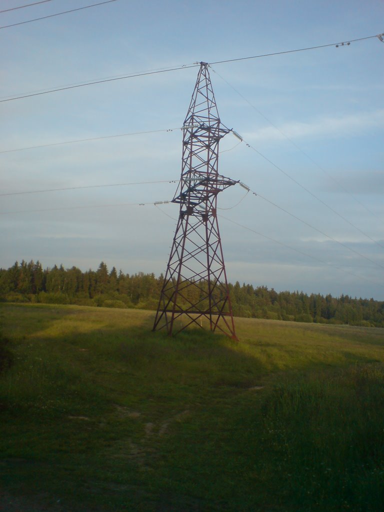 НАШЕ КОБРИНО