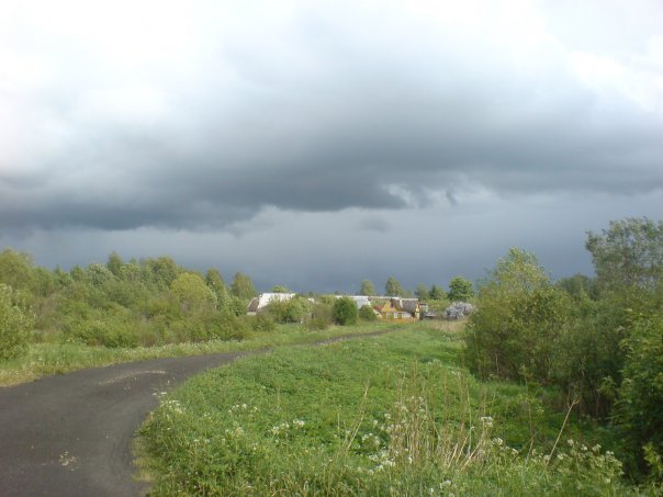 НАШЕ КОБРИНО