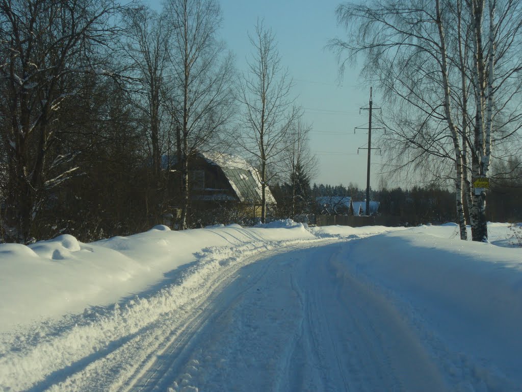 Кобрино 2010