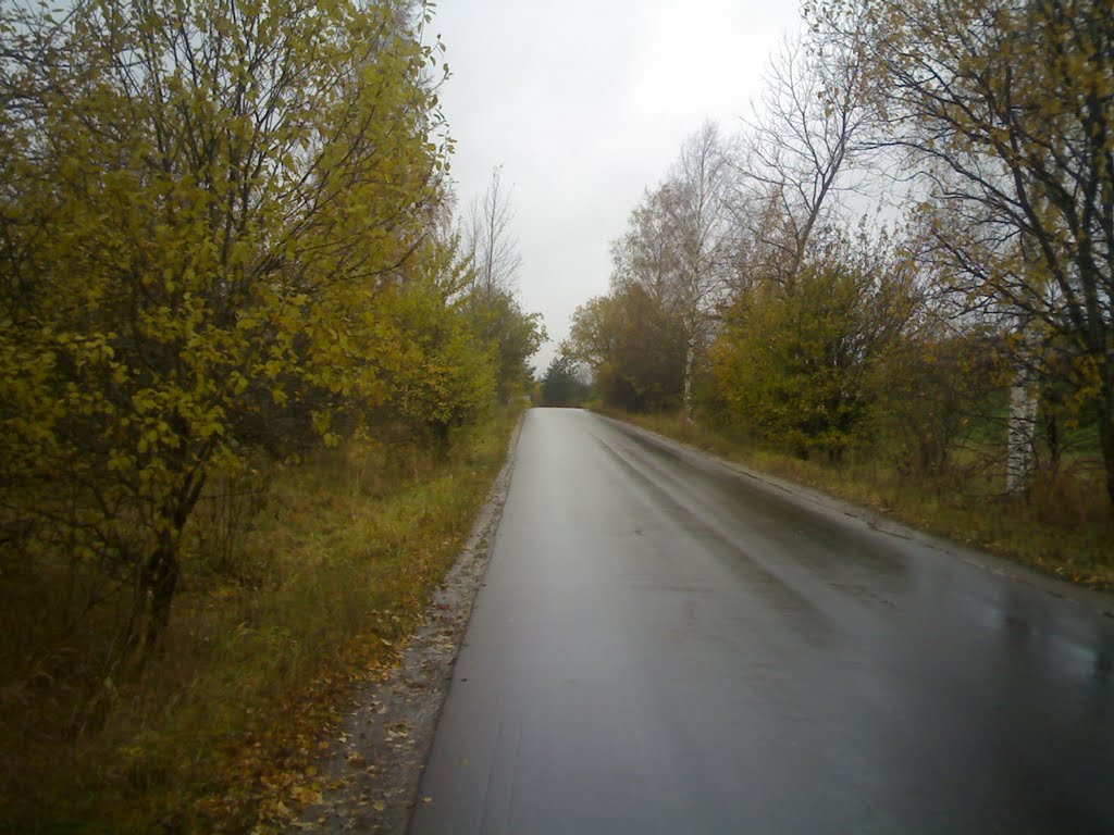 Дорога в Прибытково