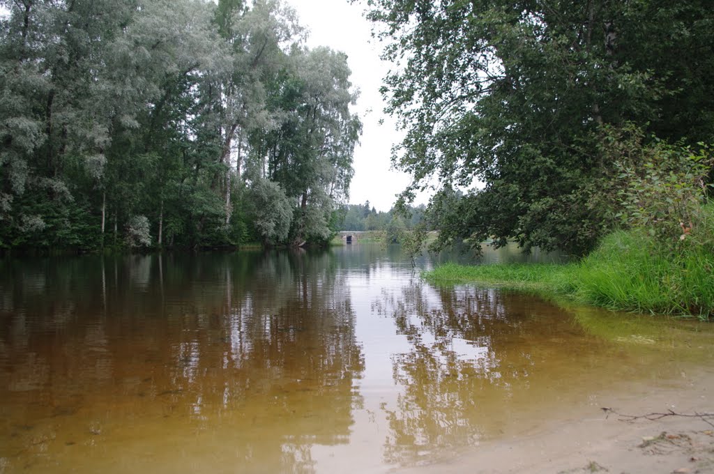 Кобрино