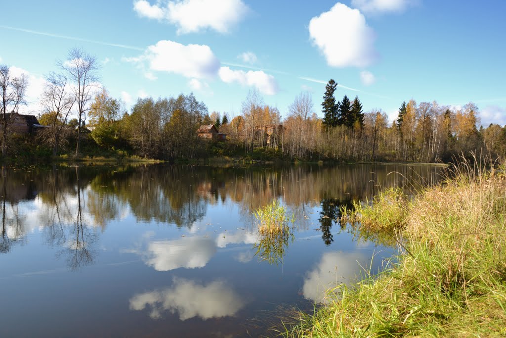 Кобрино
