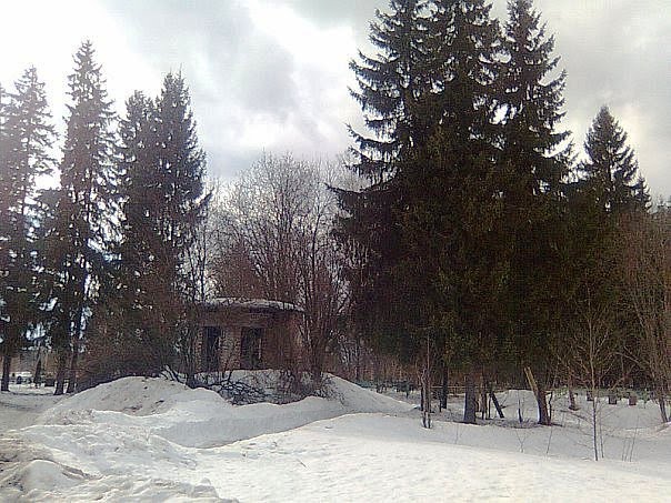 Кобриноградъ
