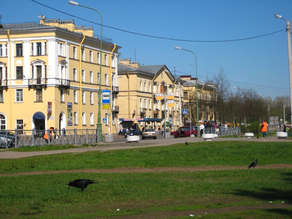 Typical houses. Oktyabrskaya str.