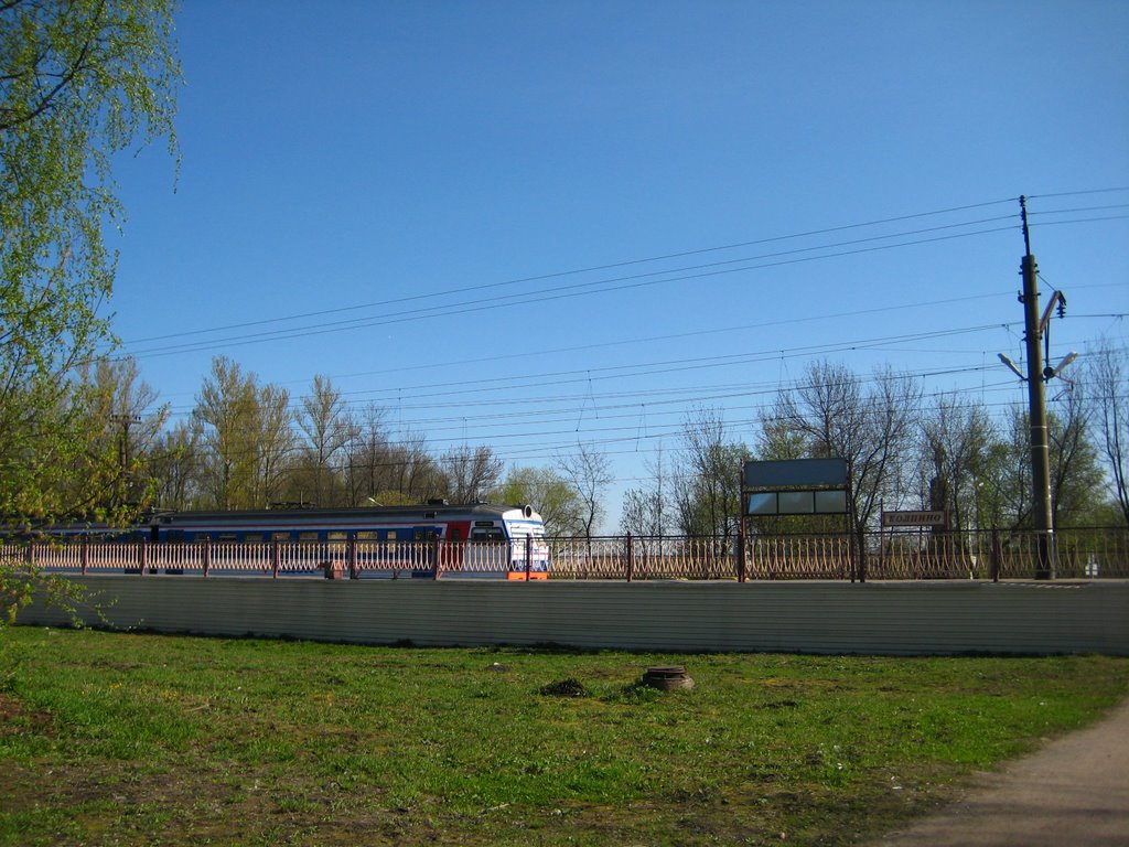 Train passing Kolpino station