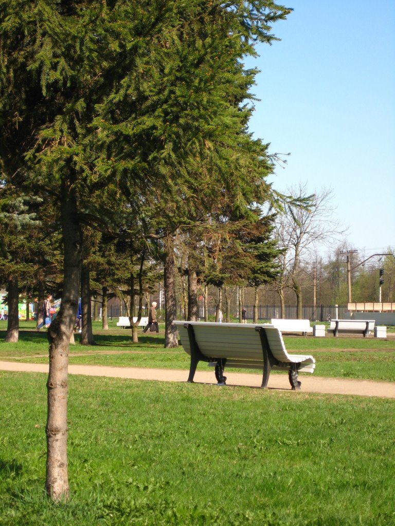 Bench
