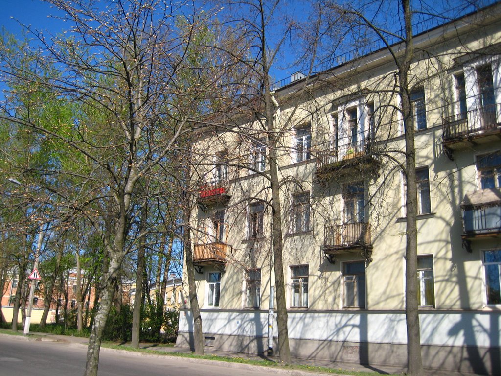 Spring branches
