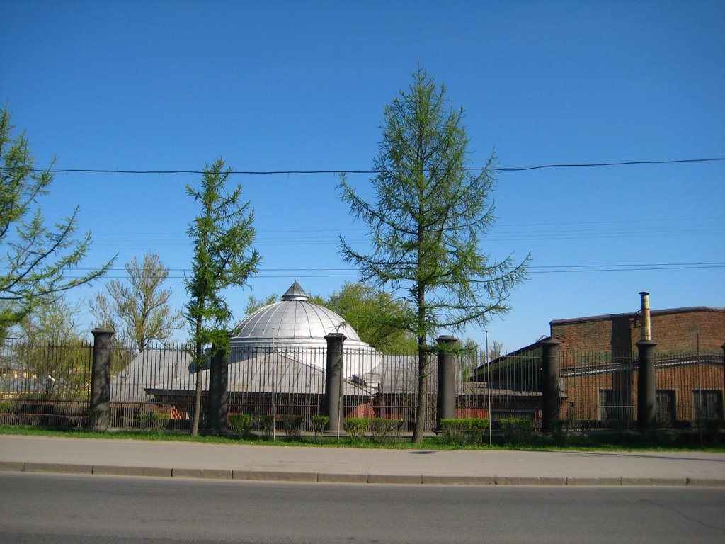 Old plant