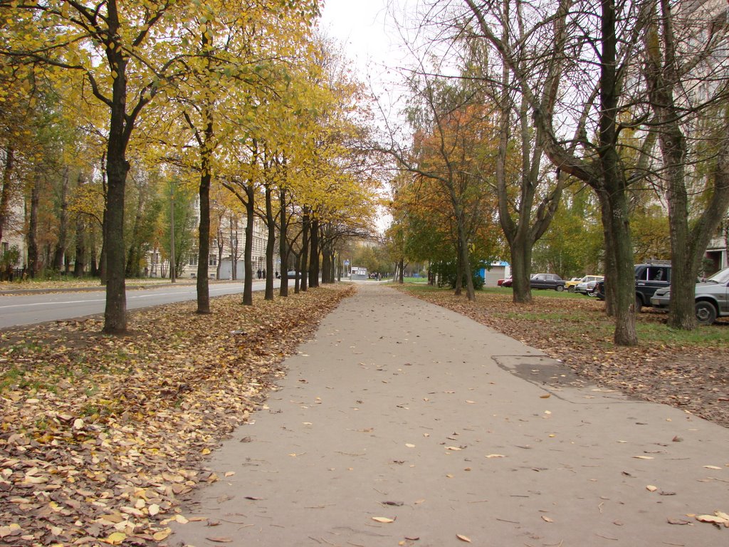 Павловская ул.