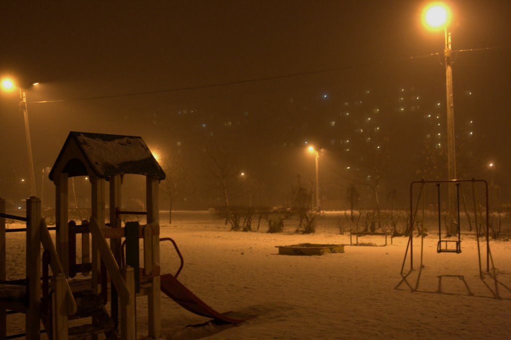 Ночной туман