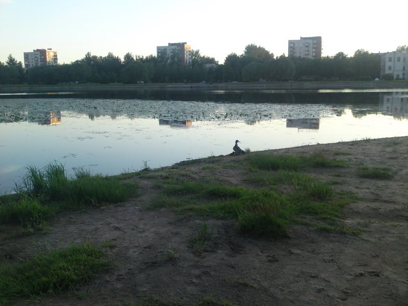 Пляж