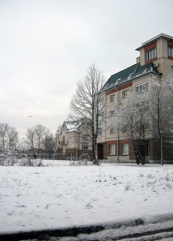 ул. Анисимова, новостройки