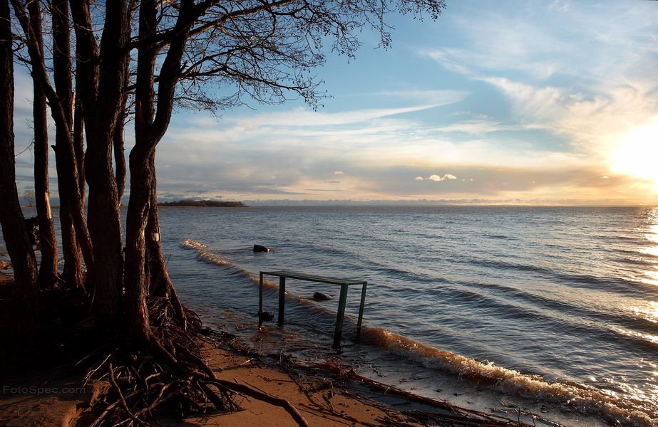 Lisy Nos Beach