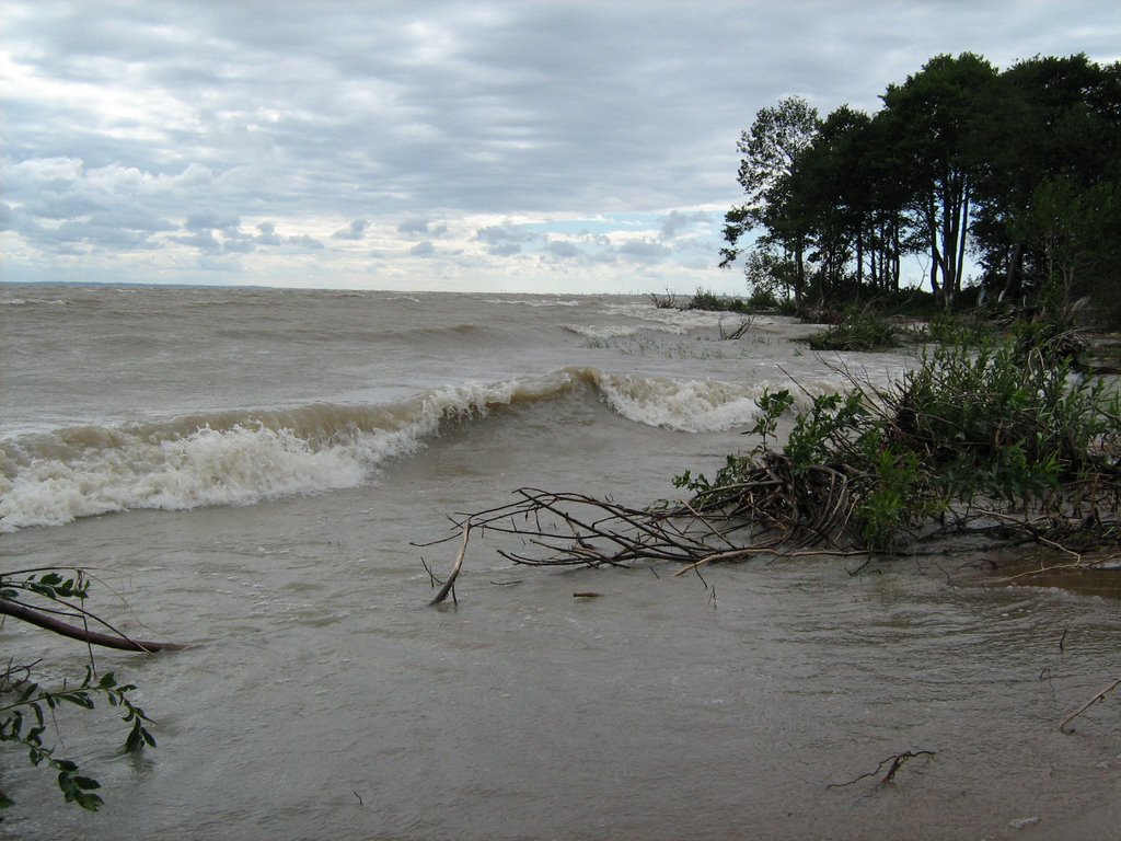 Verperluda island