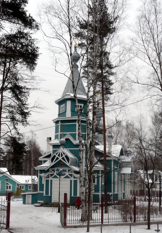Владимирская церковь в Лисьем Носу