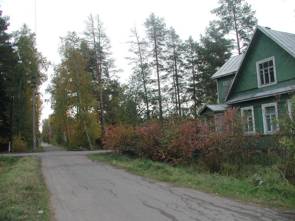 Боровая улица