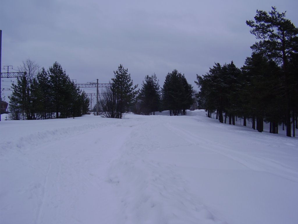 Март 2009