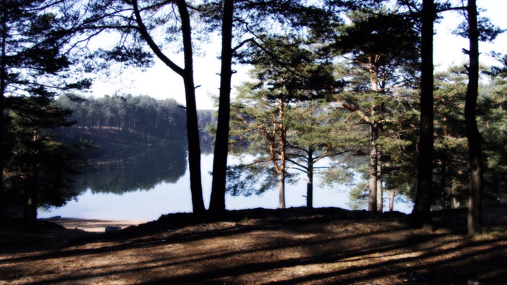 Озерко, Лодейное Поле