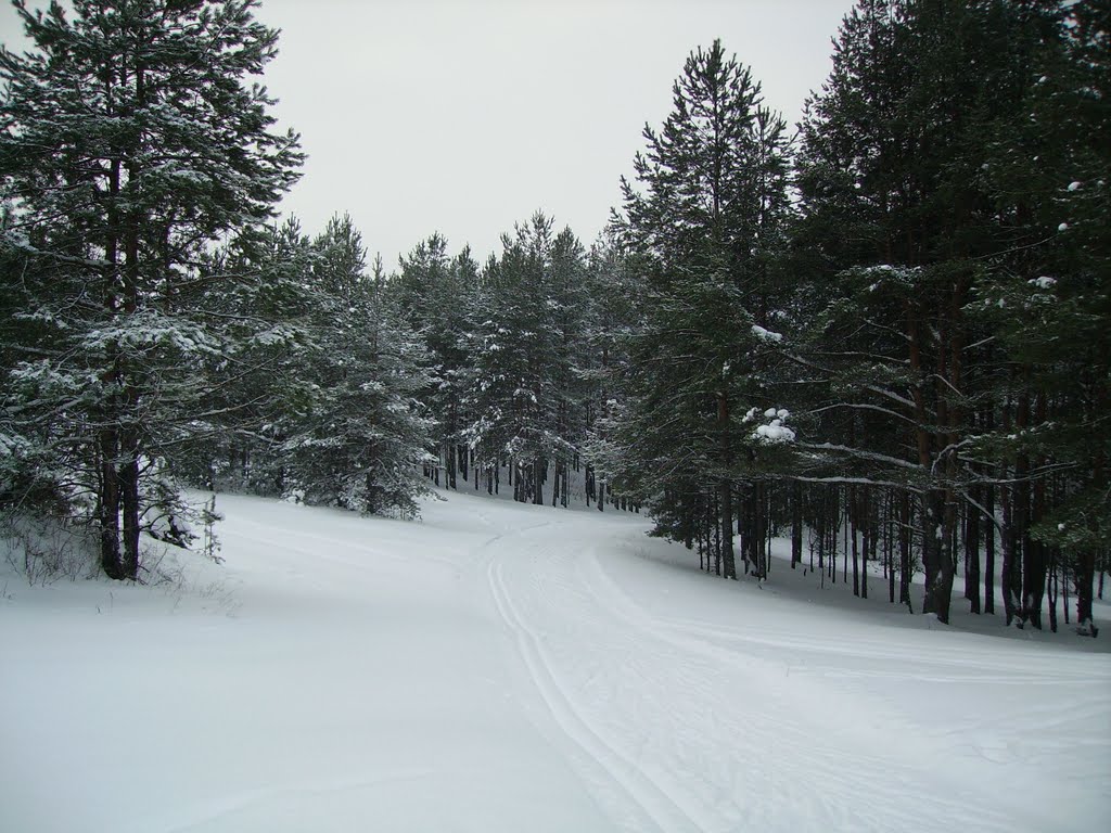 лыжня